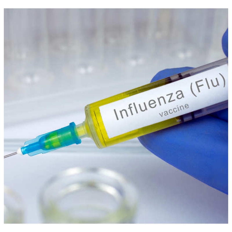 Seasonal influenza vaccines are made using egg-based, cell-based, and recombinant influenza viruses